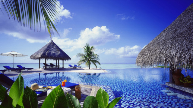 Pool palm lounge beach scenery free wallpaper - medium preview image