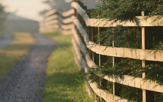 Wooden fence trees dirtroad grassfield free wallpaper - medium preview image