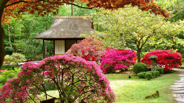 Garden gazebo flowers trees path free wallpaper - medium preview image