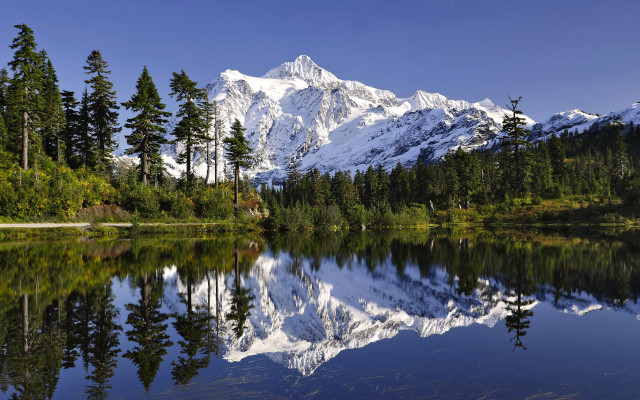 Mountain lake reflection forest bench free wallpaper - medium preview image