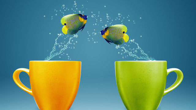 Fish jumping water penguin air free wallpaper - medium preview image