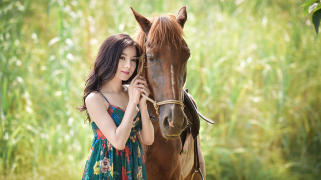 Woman horse field dress nature free wallpaper - medium preview image
