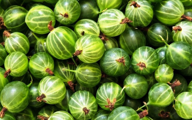 Green vegetables pile sparkle food free wallpaper - medium preview image