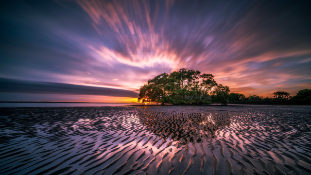 Tree reflection sunset beach purple free wallpaper - medium preview image