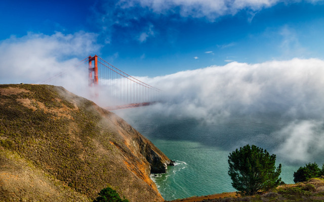Foggy golden gate view matte free wallpaper - medium preview image