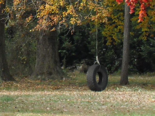 Tire swing tree park fall #2 free wallpaper - medium preview image