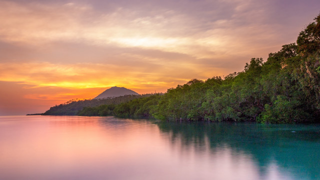 Lake mountain trees sunset pink free wallpaper - medium preview image