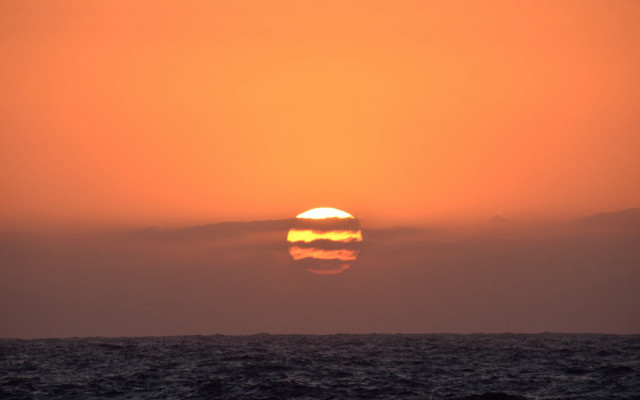 Sunset ocean boat bird sky free wallpaper - medium preview image