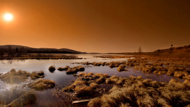 Sunset river grassy bushes city free wallpaper - medium preview image