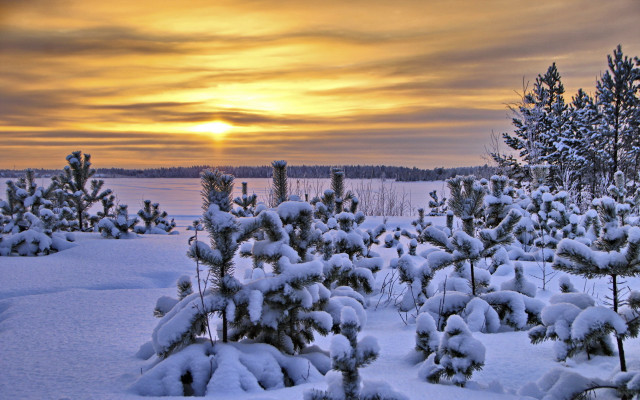Snowy field trees sunset clouds #3 free wallpaper - medium preview image