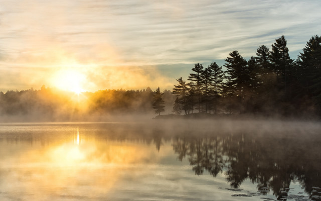 Foggy lake sunset trees horizon free wallpaper - medium preview image