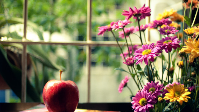 Vase flowers apple table window free wallpaper - medium preview image