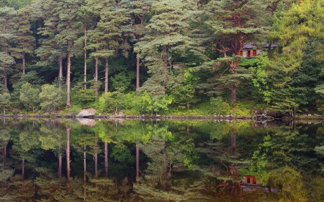 Cabin lake forest ecological impressionist free wallpaper - medium preview image
