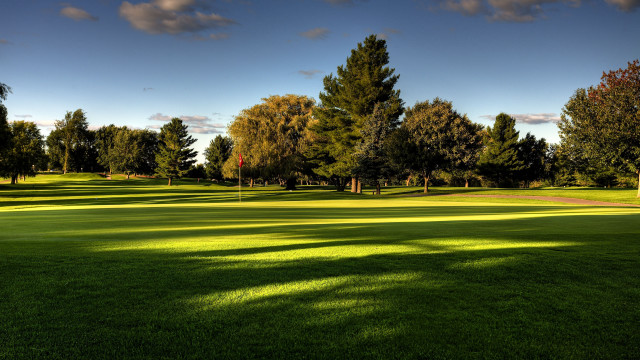 Green field trees blue sky free wallpaper - medium preview image
