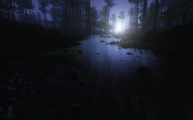 Dark forest stream night foggy free wallpaper - medium preview image