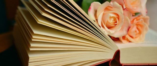 Book roses background table storybook free wallpaper - medium preview image