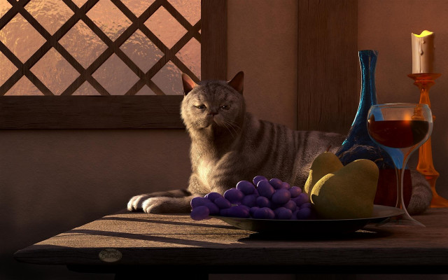 Cat table fruit candle wine free wallpaper - medium preview image