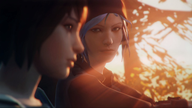 Couple forest sunlight blurry depthoffield free wallpaper - medium preview image