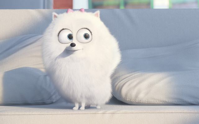 White dog big eyes pink free wallpaper - medium preview image