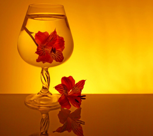 Glass water flower table yellow free wallpaper - medium preview image