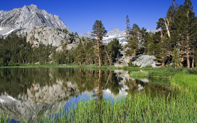 Mountain lake trees grass sky free wallpaper - medium preview image