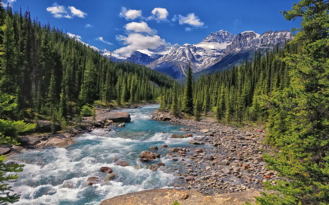 River forest rocks trees mountain free wallpaper - medium preview image