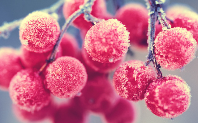 Berries snow ice moon cherry free wallpaper - medium preview image
