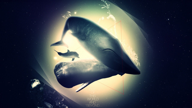 Whale ocean moon planet space free wallpaper - medium preview image
