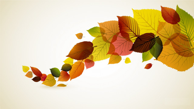 Colorful fall leaves border floral free wallpaper - medium preview image
