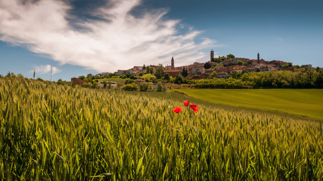Field castle flower sky landscape free wallpaper - medium preview image