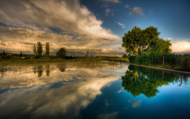 Lake tree clouds sunset forest free wallpaper - medium preview image