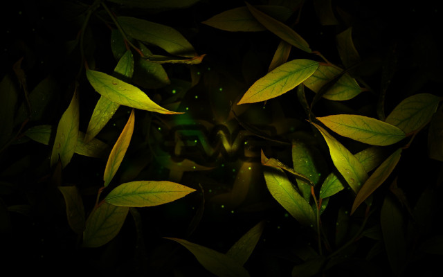 Green leafy plant light jungle free wallpaper - medium preview image
