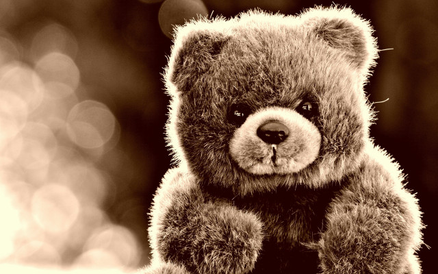 Teddy bear table blurry background free wallpaper - medium preview image