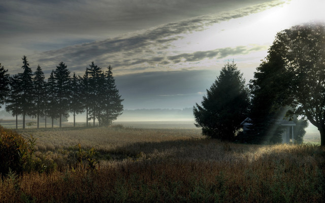 Field trees house cloud sunbeam free wallpaper - medium preview image