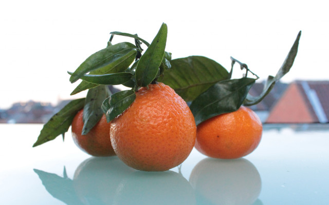 Oranges leaves table house white free wallpaper - medium preview image