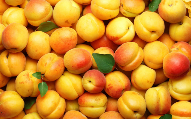 Peach pile leaves halloween pumpkin free wallpaper - medium preview image