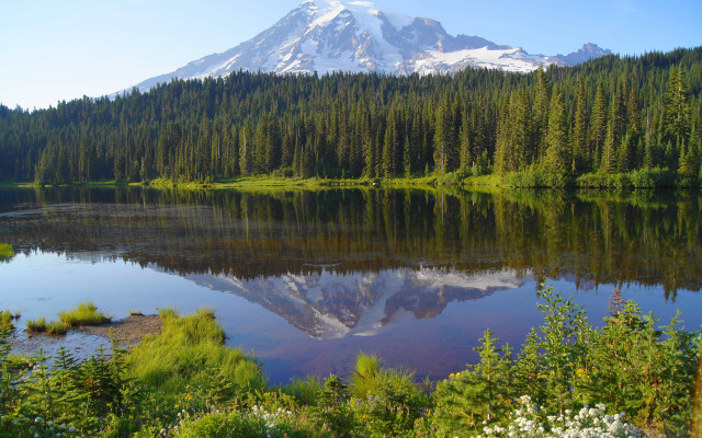 Mountain reflection lake trees shrubs free wallpaper - medium preview image