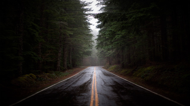Forest road matte painting gloomy free wallpaper - medium preview image