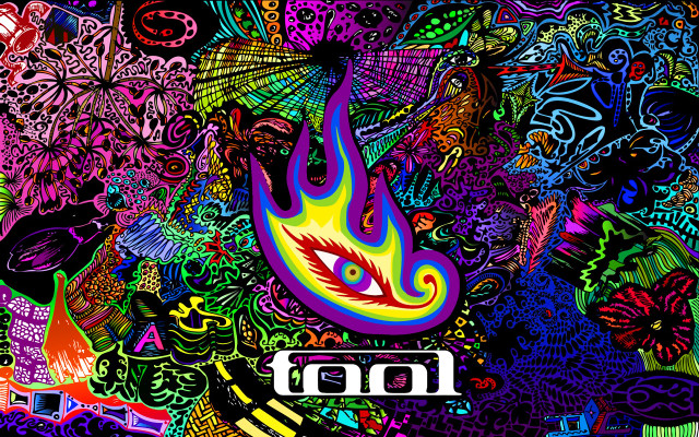Colorful bird fire face surroundings free wallpaper - medium preview image