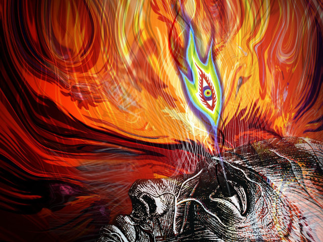 Person fire bird flying red free wallpaper - medium preview image
