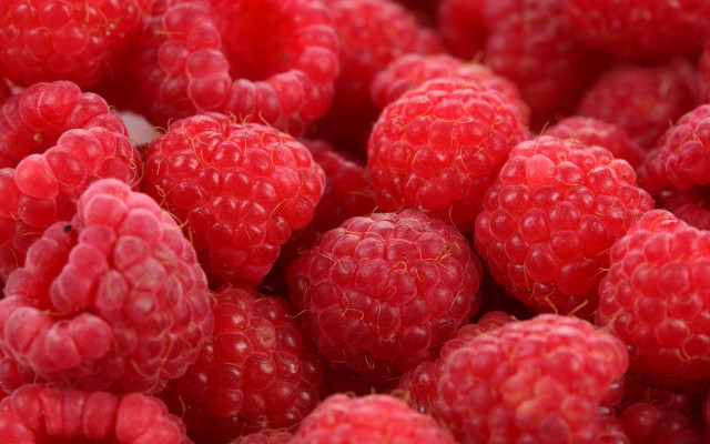 Raspberries closeup macro photorealism red free wallpaper - medium preview image
