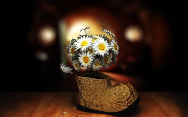 Daisy hat flower field moon free wallpaper - medium preview image