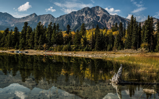 Lake trees mountains clouds fallen free wallpaper - medium preview image