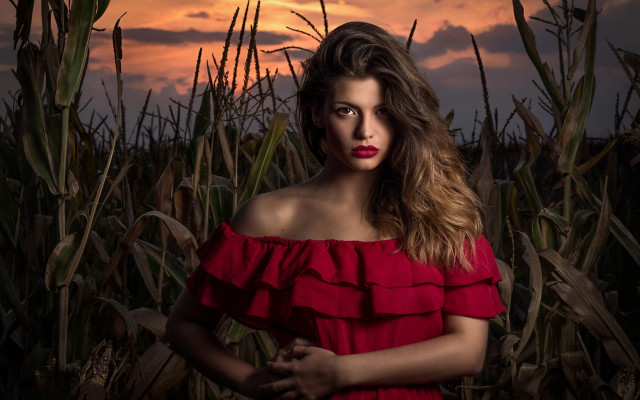 Woman red dress cornfield sunset free wallpaper - medium preview image