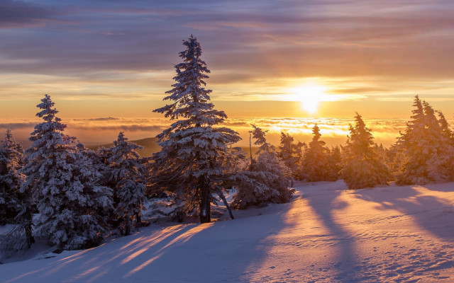 Sunset snowy mountain trees sky free wallpaper - medium preview image