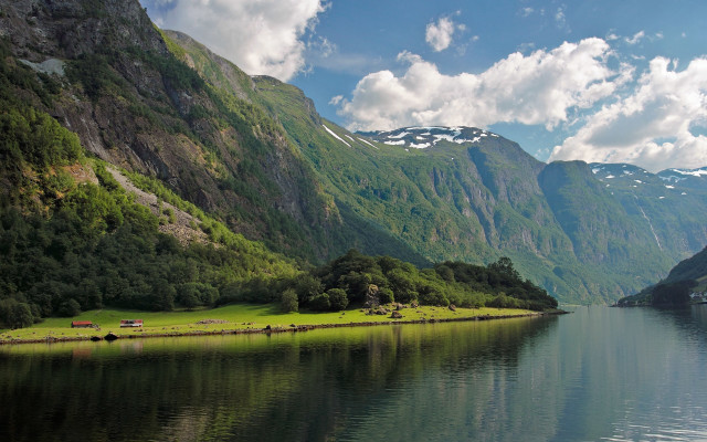 Lake mountains forest cows landscape free wallpaper - medium preview image