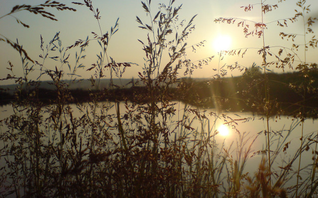 Lake sunset forest branch silhouette free wallpaper - medium preview image
