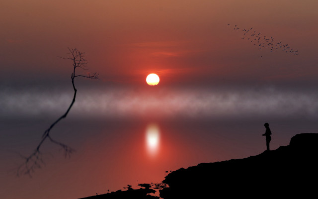 Hill overlooking water sunset birds free wallpaper - medium preview image