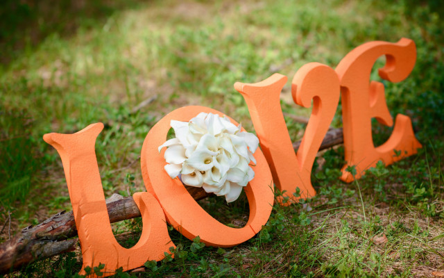 Wooden sign love flowers forest free wallpaper - medium preview image