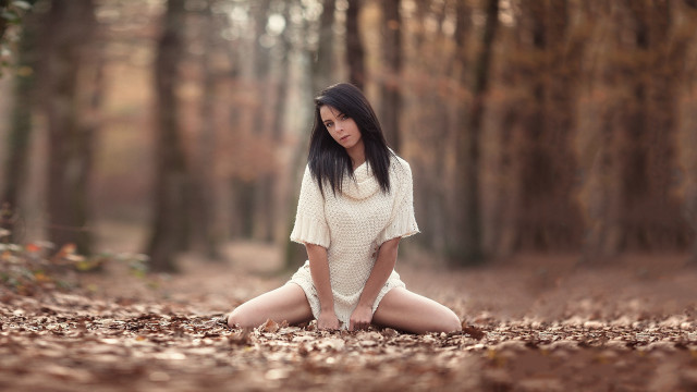 Woman forest autumn bokeh blurry free wallpaper - medium preview image